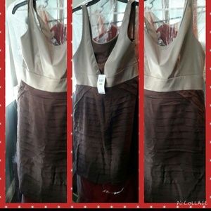 NWT SEXY MAX N CLEO CHOCOLATE PARTY DRESS