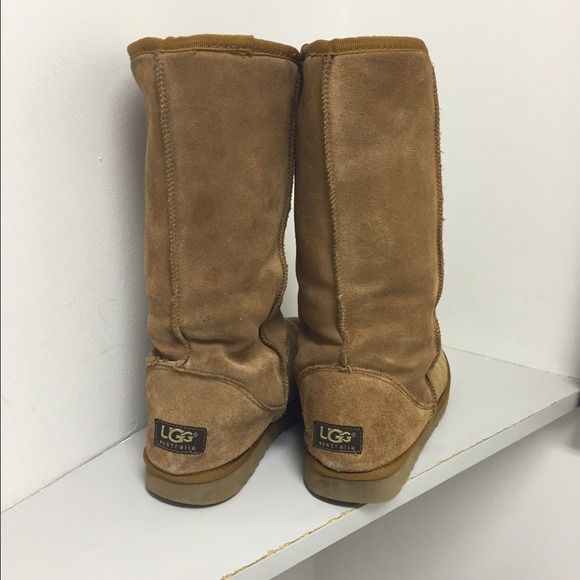 Tall chestnut UGGs