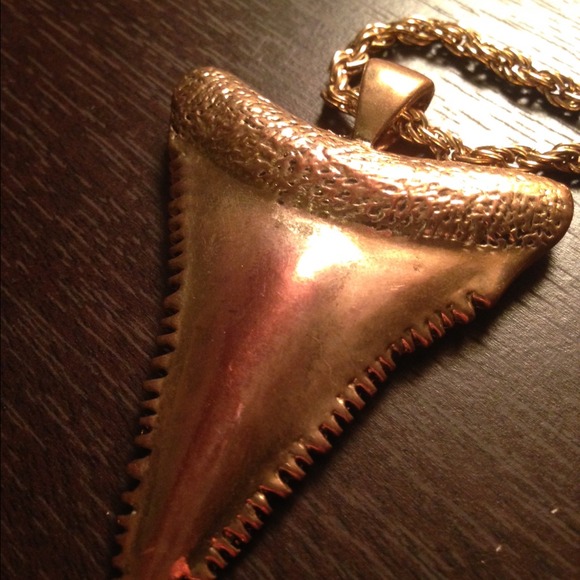 ✨Gold sharks tooth necklace✨