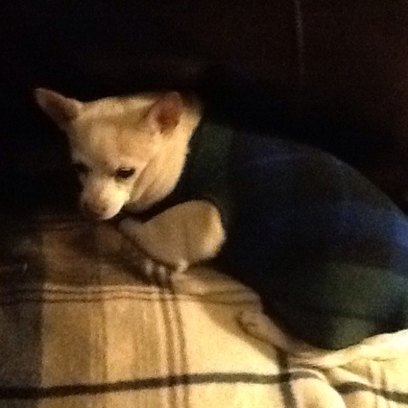 Closing my closet make me an off or trade!!?