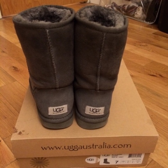 Classic Gray short uggs SOLD - Picture 4 of 4