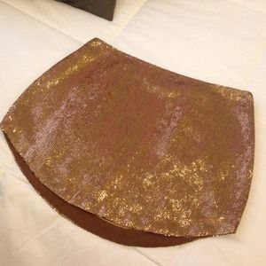 Beautiful Sequin Mini Skirt