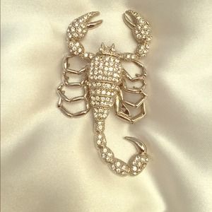 Scorpion Pin