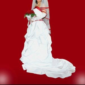Wedding dress with Veil, Tiara, gloves, petticoat.