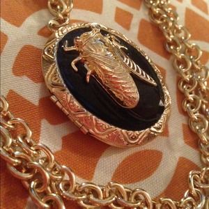 Bug/Beetle Locket Sweater Necklace