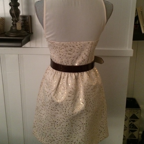 Champagne Colored Party Dress - Picture 3 of 3