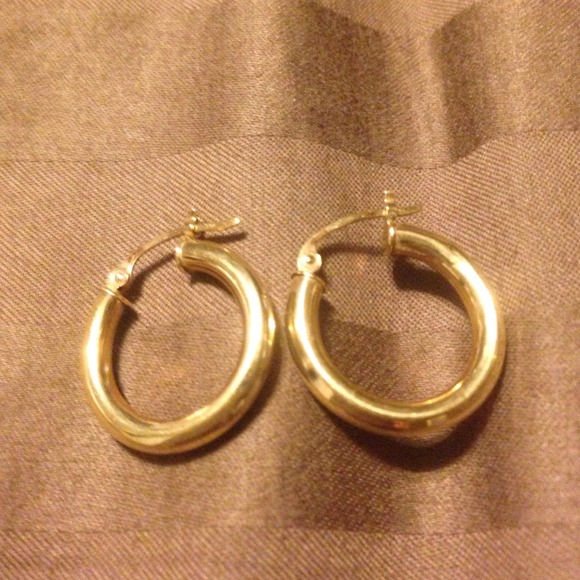Gold Loop Earrings