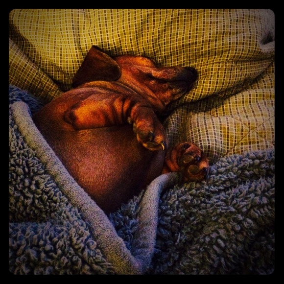 WAKE ME UP !!