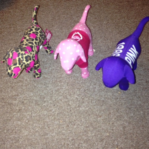 3 PINK digs