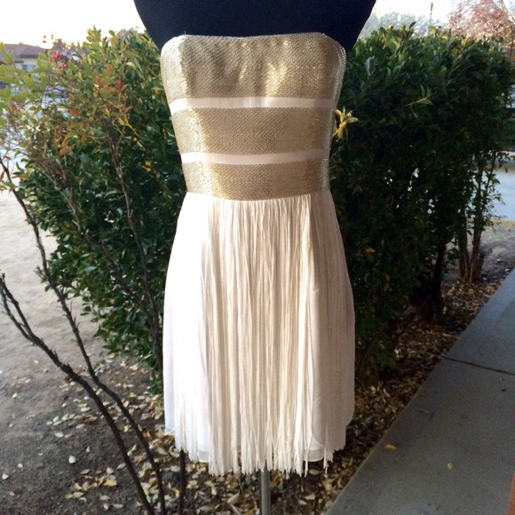 Beaded Flapper Fringe Dress