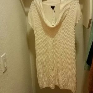 Express Cowl Neck Sweater Dress