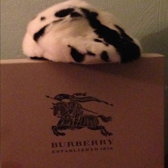 New, Burberry Prorsum Mink Cap