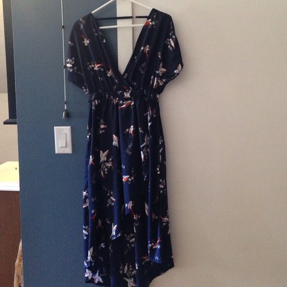 Hi-low love birds dress