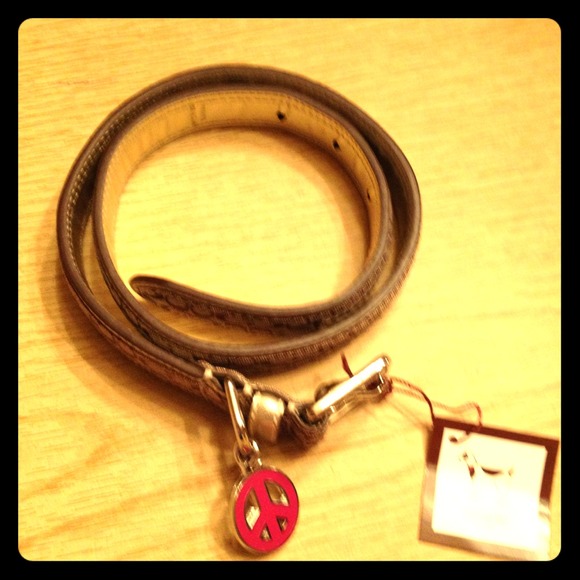 Dog Collar