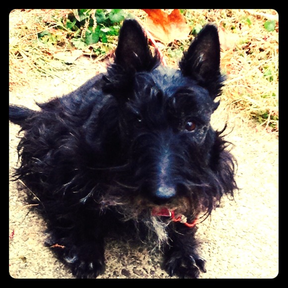 ❤️The love of my life RIP 12/2/18❤️ - Picture 3 of 7