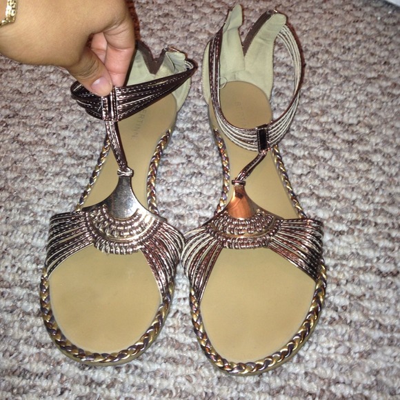 Gladiators from Brazil strong material