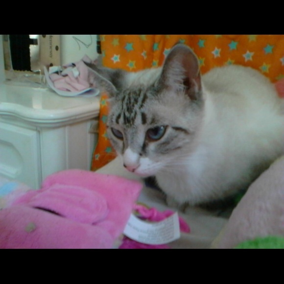 Please read My closet rules! - Picture 2 of 4