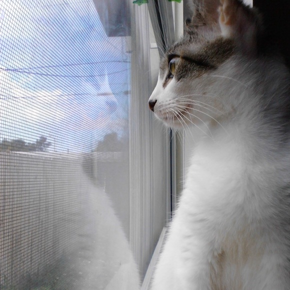 Please read My closet rules! - Picture 3 of 4