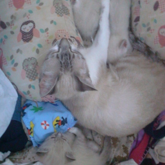 Please read My closet rules! - Picture 4 of 4