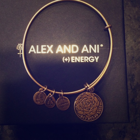 Alex & Ani Braclet