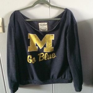 Michigan off the shoulder sweater