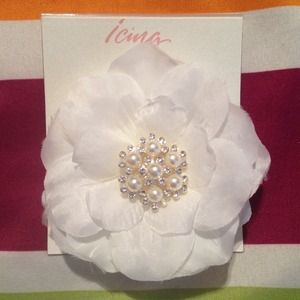 Hair clip / broach
