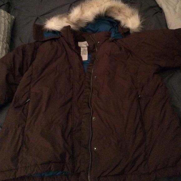 Women's chocolate Goose Down LL Bean winter coat!