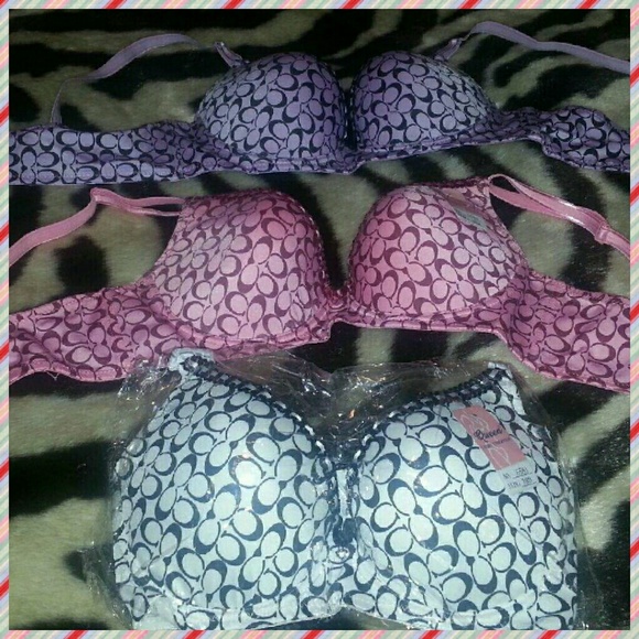 Shugahs Outerwear - Hold 4 @page01 (2/26/14) Bundle of bras