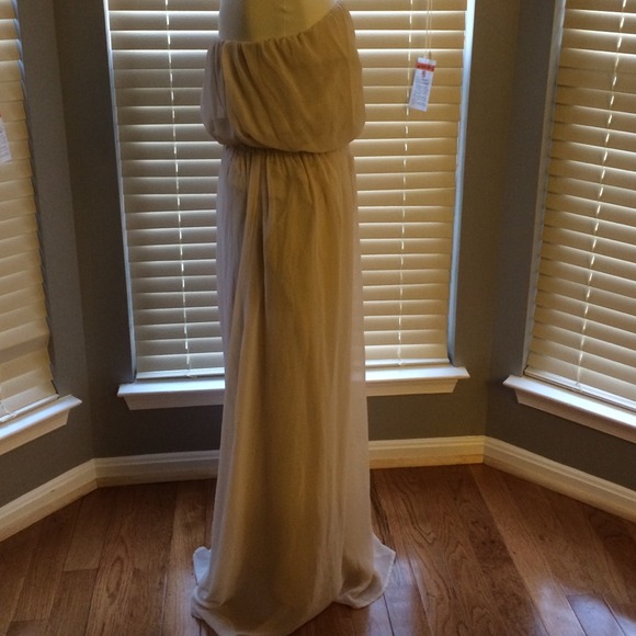 Forever 21 Maxi Dress - Picture 3 of 4