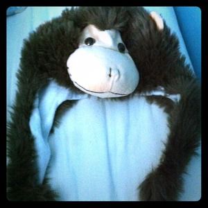 Monkey hat
