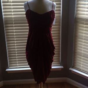 Bcbg Maxazria Dress (l)