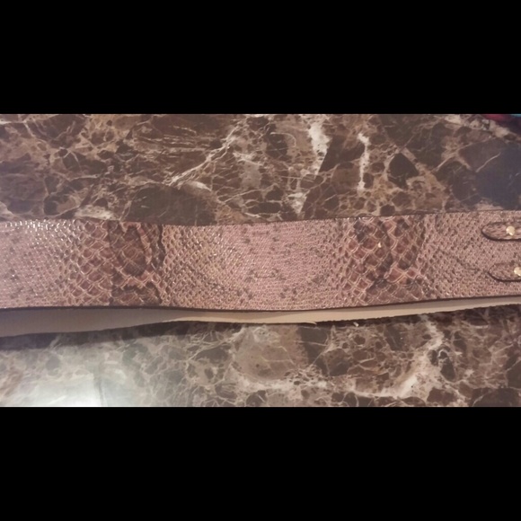 Belt