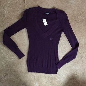 Purple Sweater. Deep V neck. Brand new!
