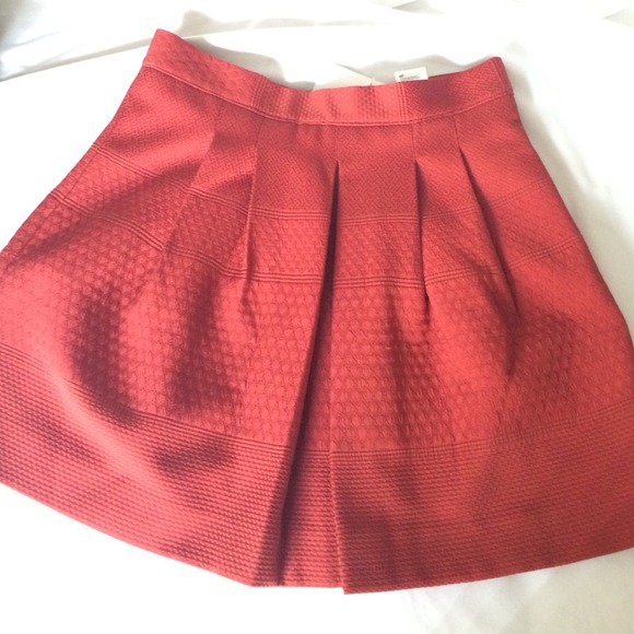 Rust Orange Pleated Skater Skirt