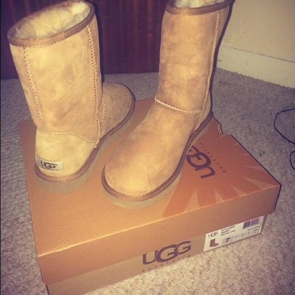 Classic Chestnut Uggs