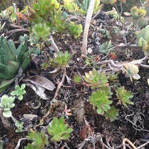 trade for @chaseprincess! grey knit top