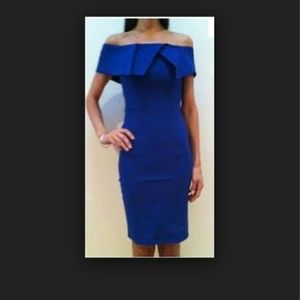 Large Cobalt Blue Dress