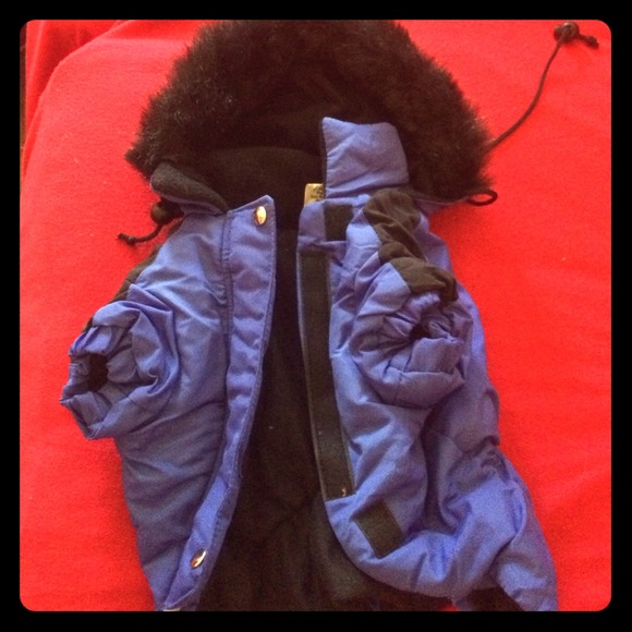 Medium dog raincoat