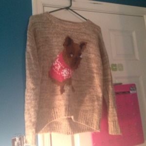 Dog Christmas sweater.