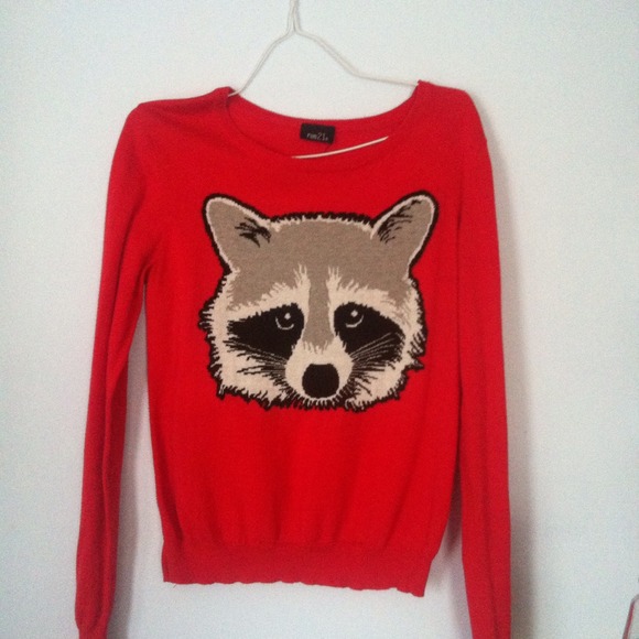 ❤️ cute raccoon sweater ❤️