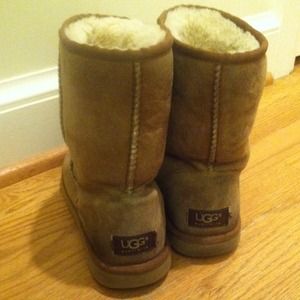 Chestnut classic uggs