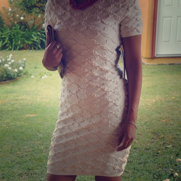 Short sleeve fitted knit dress
