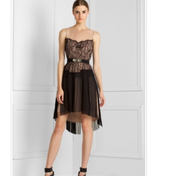 BCBG Dresses & Skirts - BCBG Pleated Lace & Nude Dress / Runway Collection