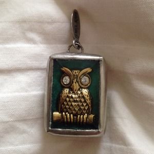 owl wisdom charm RETIRED CHARM