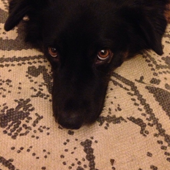 Trade with @jeepgirl93