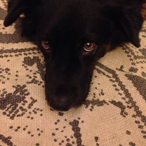 Trade with @jeepgirl93