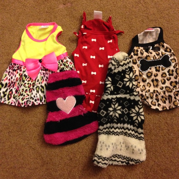 Assorted Dog Clothes - Picture 3 of 4
