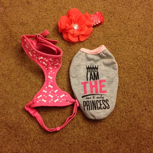 Assorted Dog Clothes - Picture 4 of 4