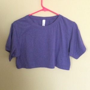 American apparel purple crop top
