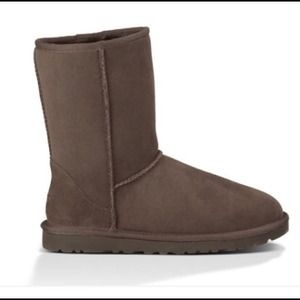 Classic Short Ugg in Chocolate